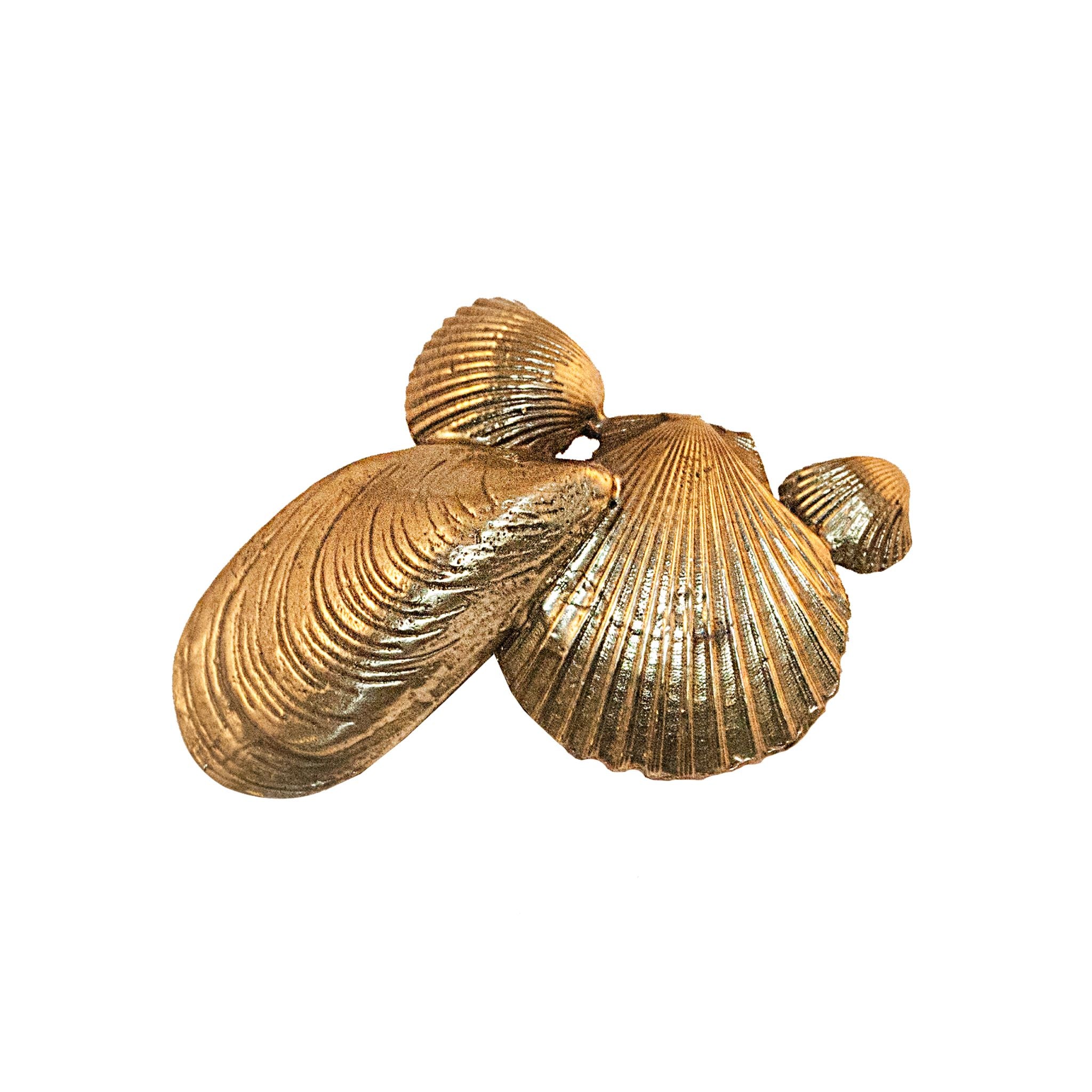 An image of a brass shell composition-shaped knob against a neutral background. The knob features intricately arranged shell designs, adding a touch of coastal elegance to furniture or drawers.