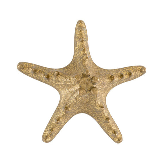 Oceano Alicudi - starfish brass knob