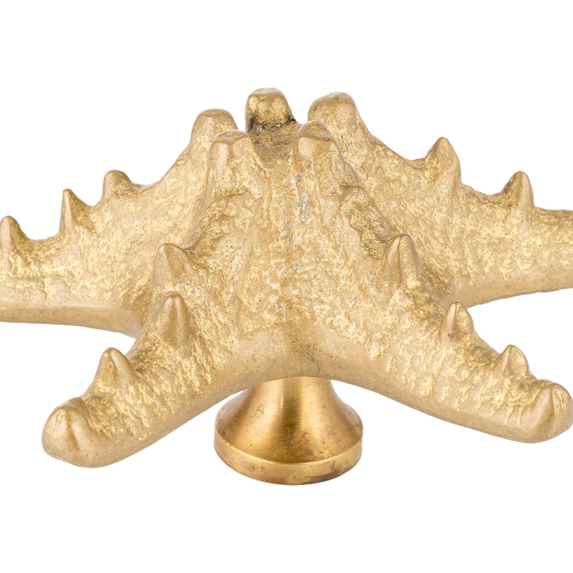 Oceano Alicudi - starfish brass knob