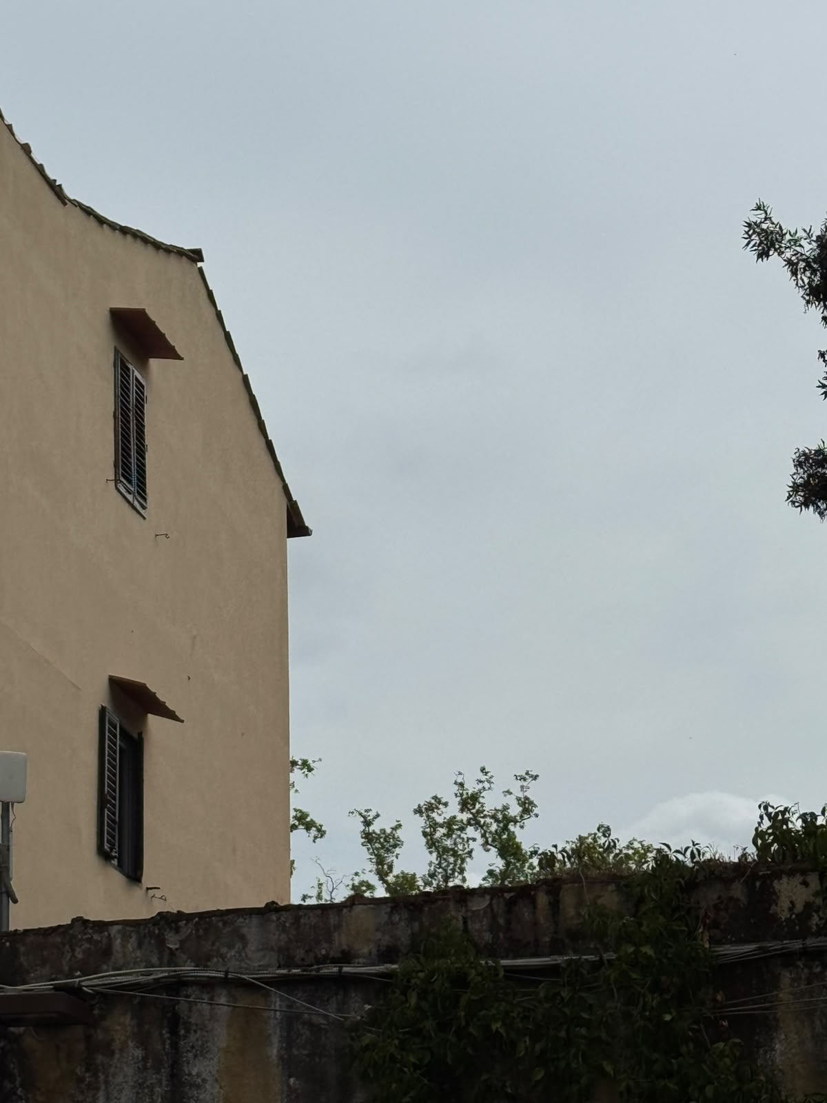 Immagine dello slider