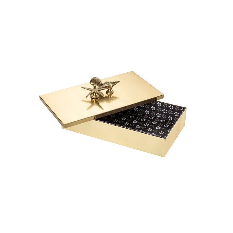 Large brass box with knob