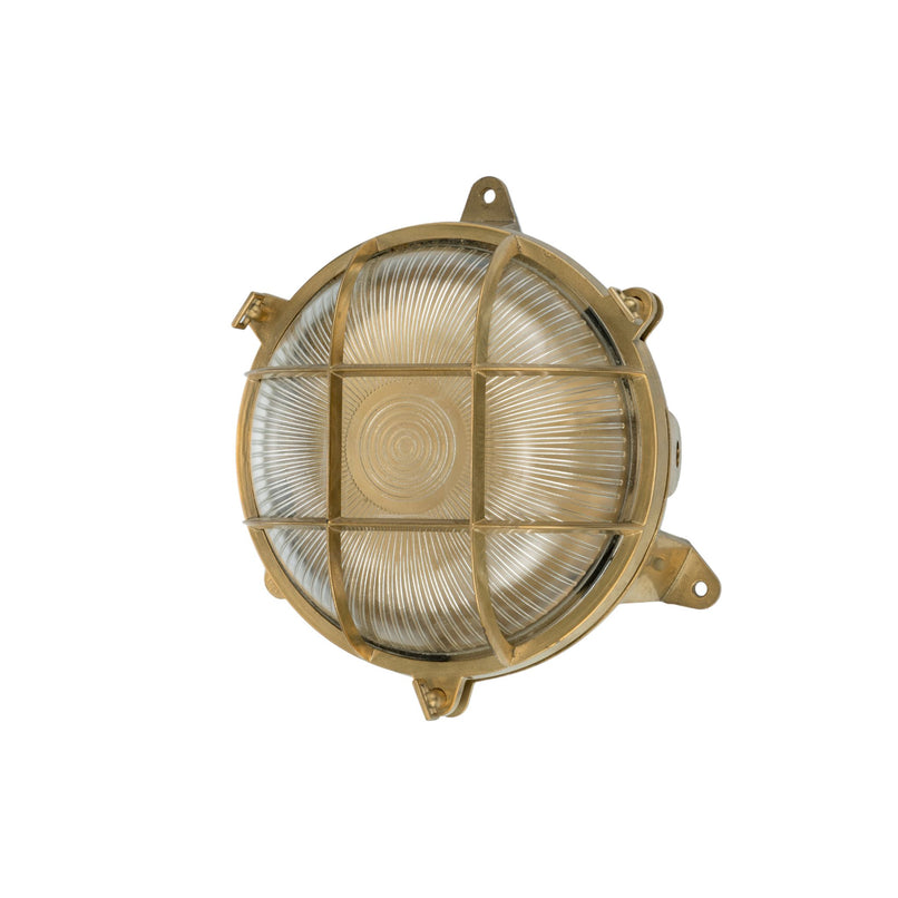 Eden nautilus brass and glass spotlight