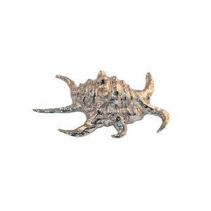 Oceano brass elaborated sea shell knob – ilbronzetto