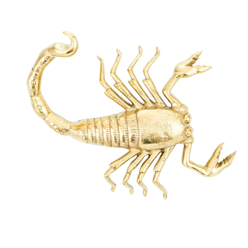 An image of a brass scorpion-shaped knob against a neutral background. The knob features intricate detailing resembling a scorpion