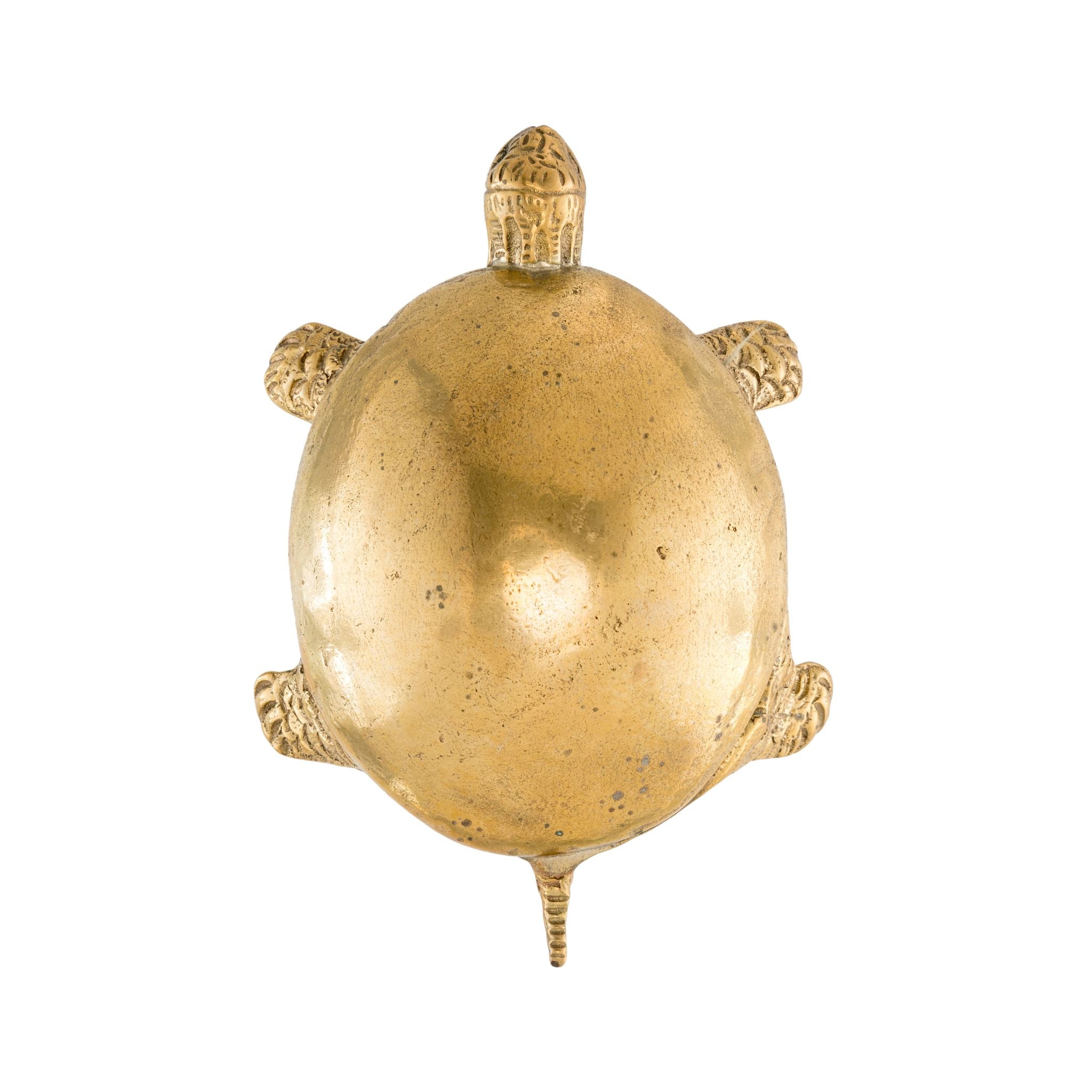 An image of a smooth brass turtle-shaped knob against a neutral background. The knob boasts a sleek design reminiscent of a turtle's shell, adding a touch of understated elegance to furniture or drawers.