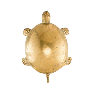 An image of a smooth brass turtle-shaped knob against a neutral background. The knob boasts a sleek design reminiscent of a turtle's shell, adding a touch of understated elegance to furniture or drawers.