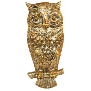 A large brass knob shaped like an owl.