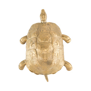 An image of a large brass turtle-shaped knob against a neutral background. The knob is intricately designed with attention to detail, resembling a turtle's shell and features. Perfect for adding a touch of charm and personality to cabinets or drawers.