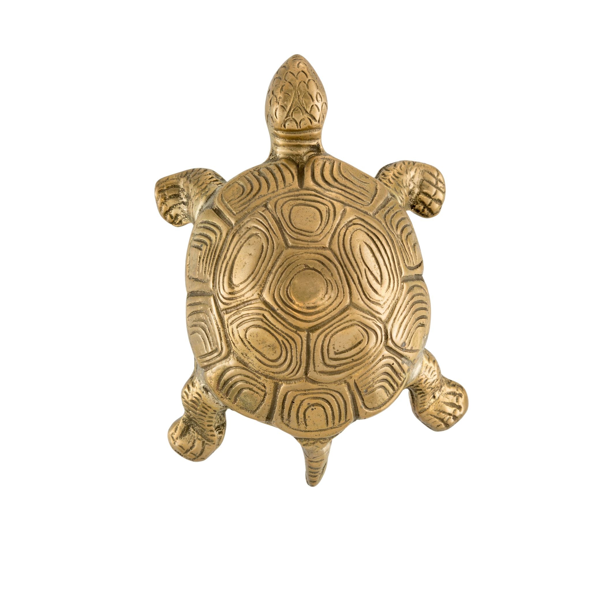 An image of a medium-sized brass turtle-shaped knob against a neutral background. The knob is intricately designed with attention to detail, showcasing the turtle's shell and features. Perfect for adding a touch of charm and personality to cabinets or drawers.