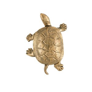 An image of a brass walking turtle-shaped knob against a neutral background. The knob is intricately designed with attention to detail, resembling a turtle in motion. Perfect for adding a touch of charm and whimsy to cabinets or drawers.