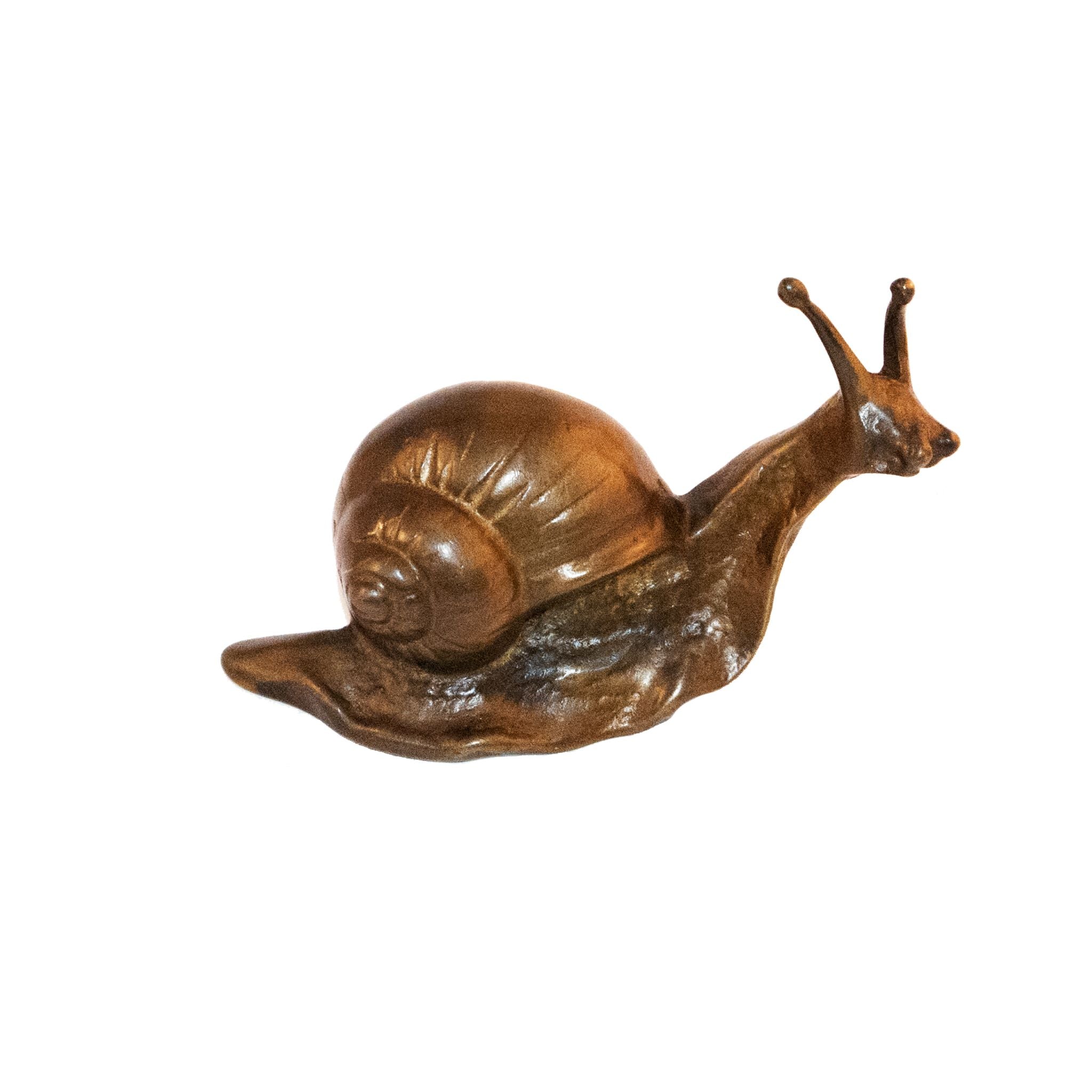 A large brass knob shaped like a snail, featuring detailed craftsmanship.