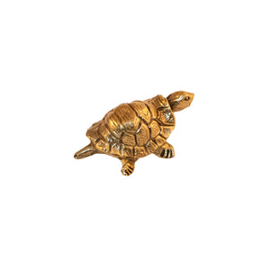 Medium brass knob shaped like a turtle, with detailed features and a polished finish, used for cabinets, drawers, and doors.
