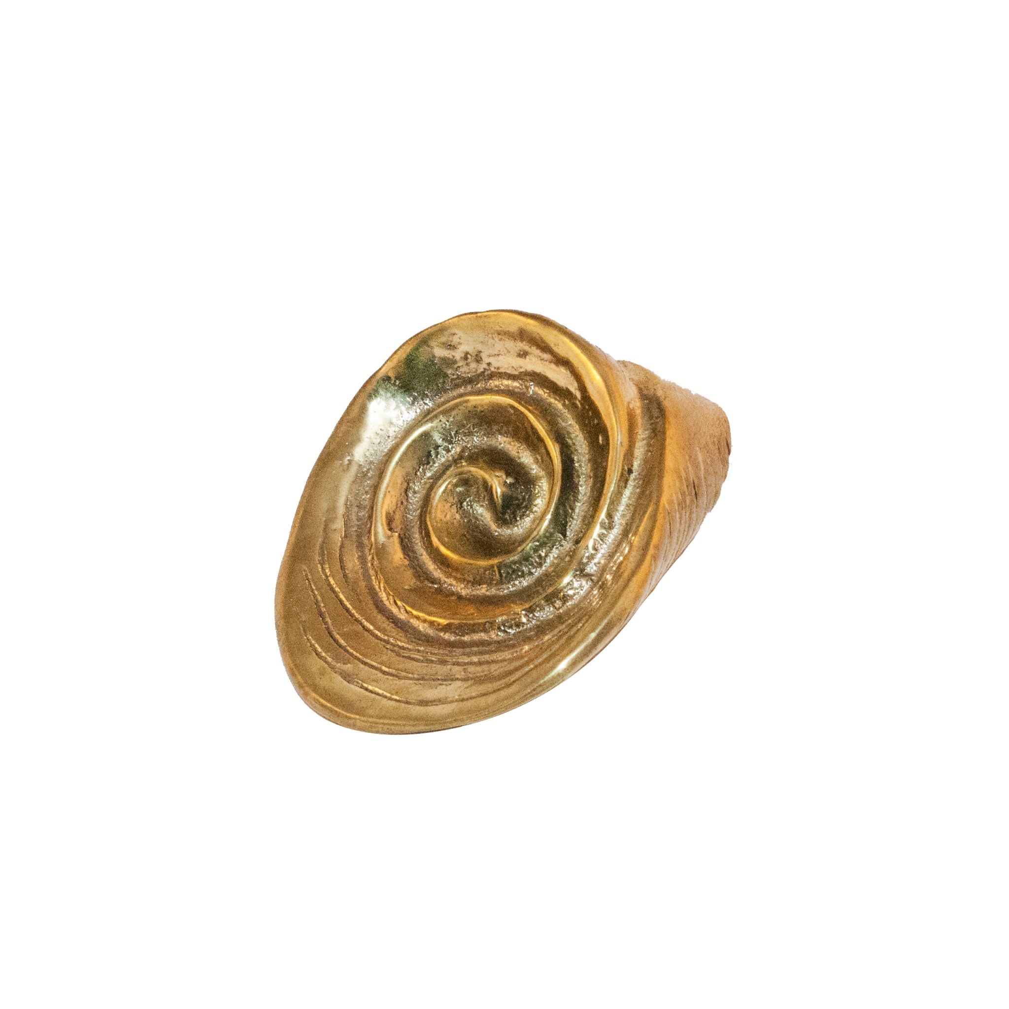 Brass knob resembling a detailed shell from the Bari collection, designed to enhance cabinets, drawers, and doors with coastal-inspired elegance.