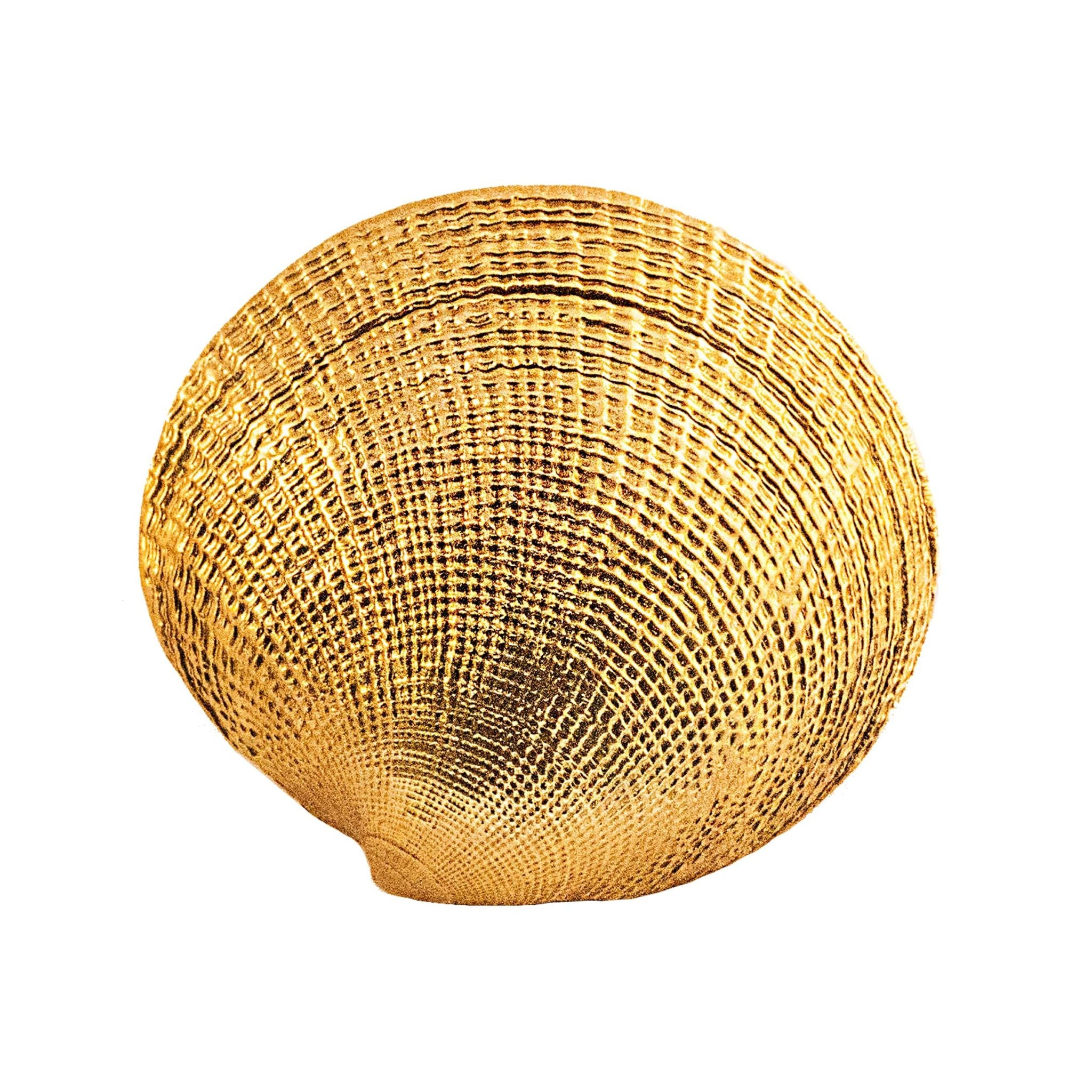 A large brass knob shaped like a seashell.