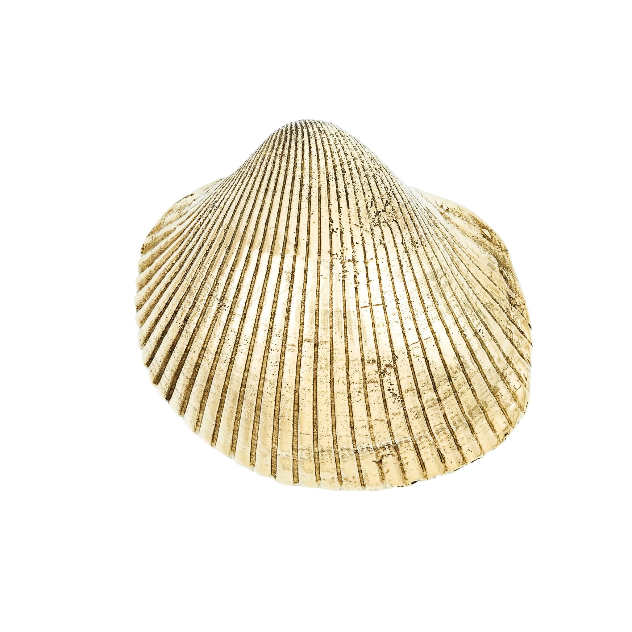 Brass cabinet knob shaped like a seashell, adding a touch of coastal elegance to furniture and cabinets.