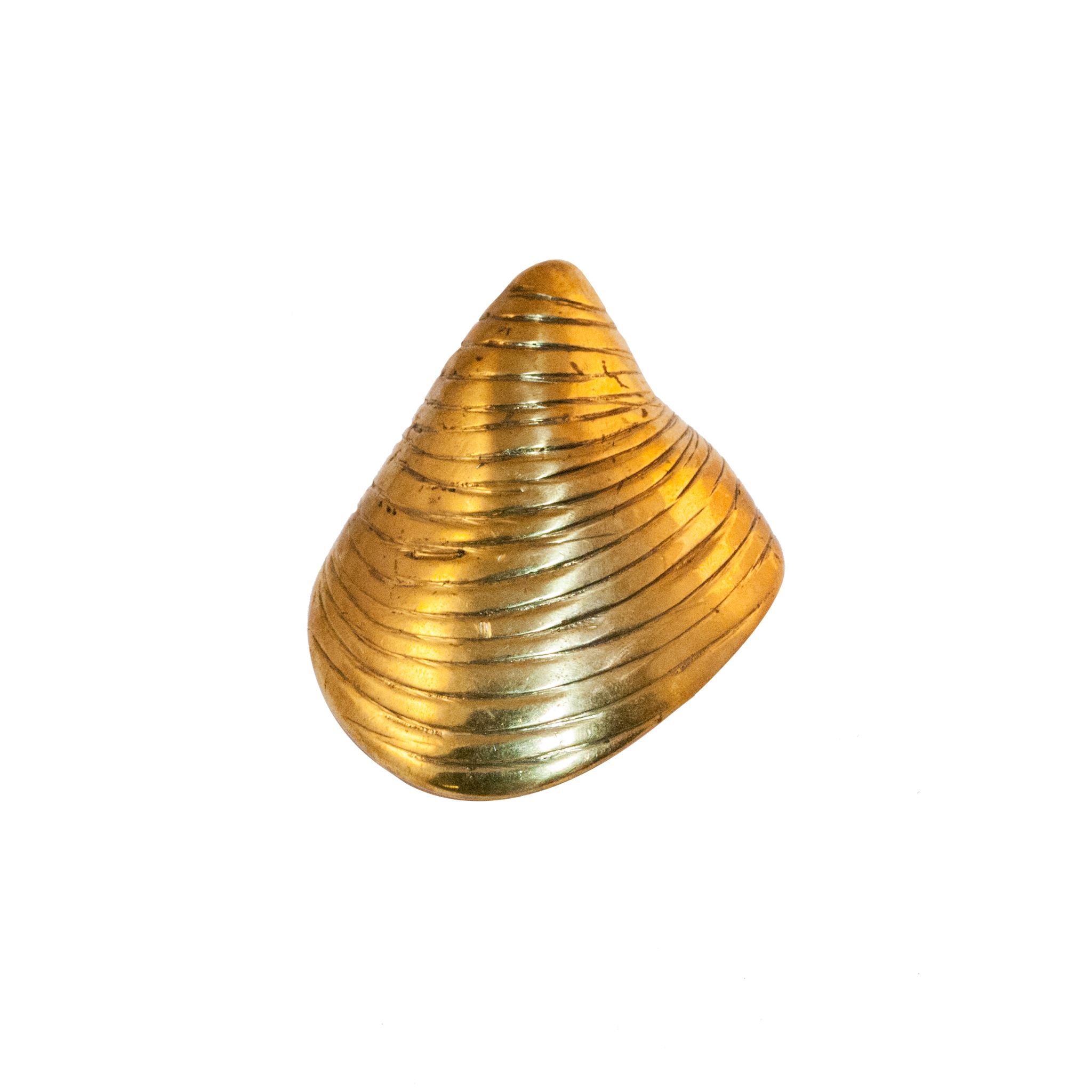 Brass knob resembling a detailed shell from the Capri collection, designed to enhance cabinets, drawers, and doors with coastal-inspired elegance.