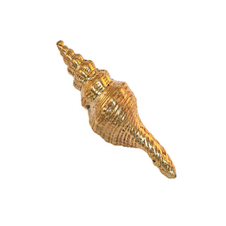 Image of the Catania Brass Shell-Shaped Knob. This decorative knob is crafted from solid brass and features an intricate design that mimics a seashell. The polished brass finish gives it a classic and elegant appearance. Ideal for use on cabinets, drawers, and doors, the knob adds a touch of coastal charm and sophistication to any furniture piece.