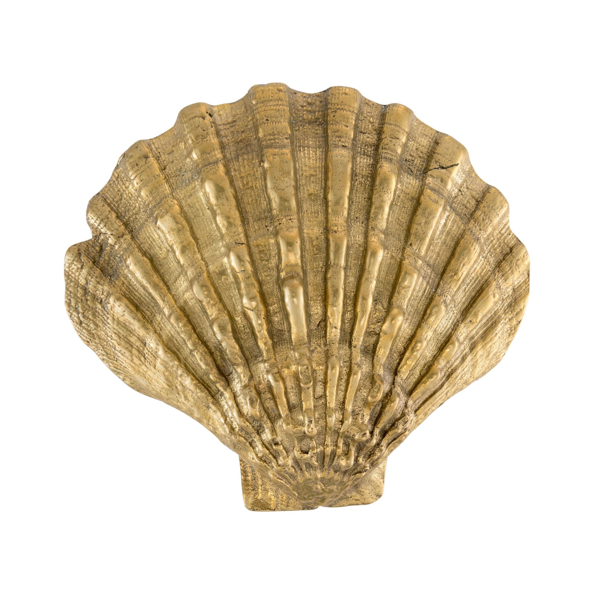 Brass cabinet knob designed in the shape of a seashell, ideal for adding a coastal touch to furniture and cabinets.