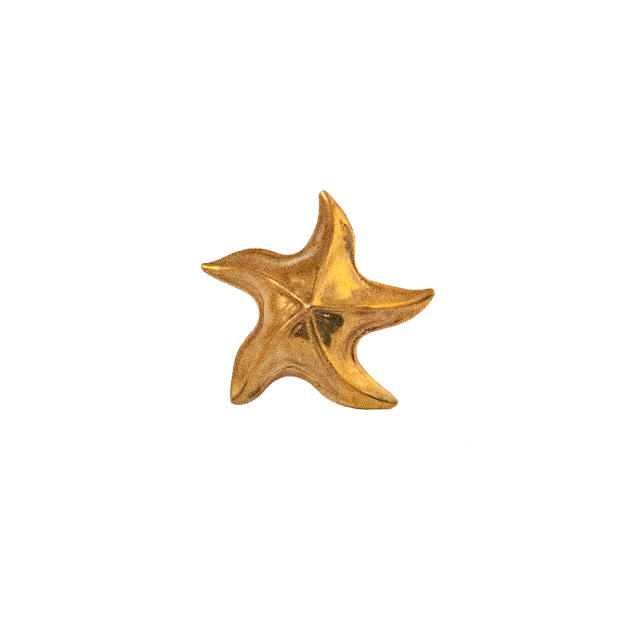 Brass knob resembling a detailed starfish from the Lipari collection, designed to enhance cabinets, drawers, and doors with a chic maritime aesthetic.