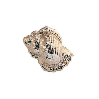 Image of the Napoli Brass Shell-Shaped Knob. This decorative knob is made from solid brass and features an intricate design that resembles a seashell. The polished brass finish adds a touch of elegance and sophistication. Suitable for use on cabinets, drawers, and doors, the knob enhances furniture with a coastal charm.