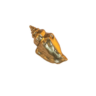 Image of the Palermo Brass Shell-Shaped Knob. This decorative knob is crafted from high-quality brass and features an intricate design that resembles a seashell. The brass finish gives it a classic, elegant look. Ideal for use on cabinets, drawers, and doors, the knob adds a touch of coastal charm to any furniture piece.