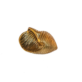 Brass knob resembling a detailed shell from the Rimini collection, designed to enhance cabinets, drawers, and doors with coastal-inspired elegance.