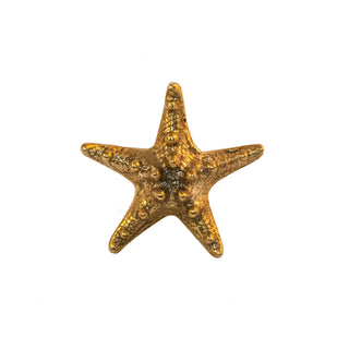 Image of the Salina Brass Starfish-Shaped Knob. This decorative knob, made of solid brass, features a detailed design resembling a starfish. The polished brass finish adds a touch of elegance. Suitable for cabinets, drawers, and doors, it brings a coastal ambiance to any furniture piece.