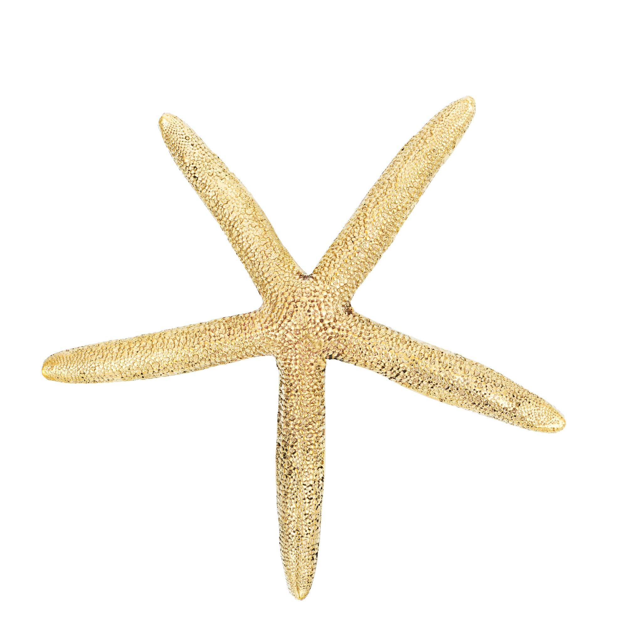 Medium-sized brass cabinet knob shaped like a starfish, ideal for adding a coastal touch to furniture and cabinets.