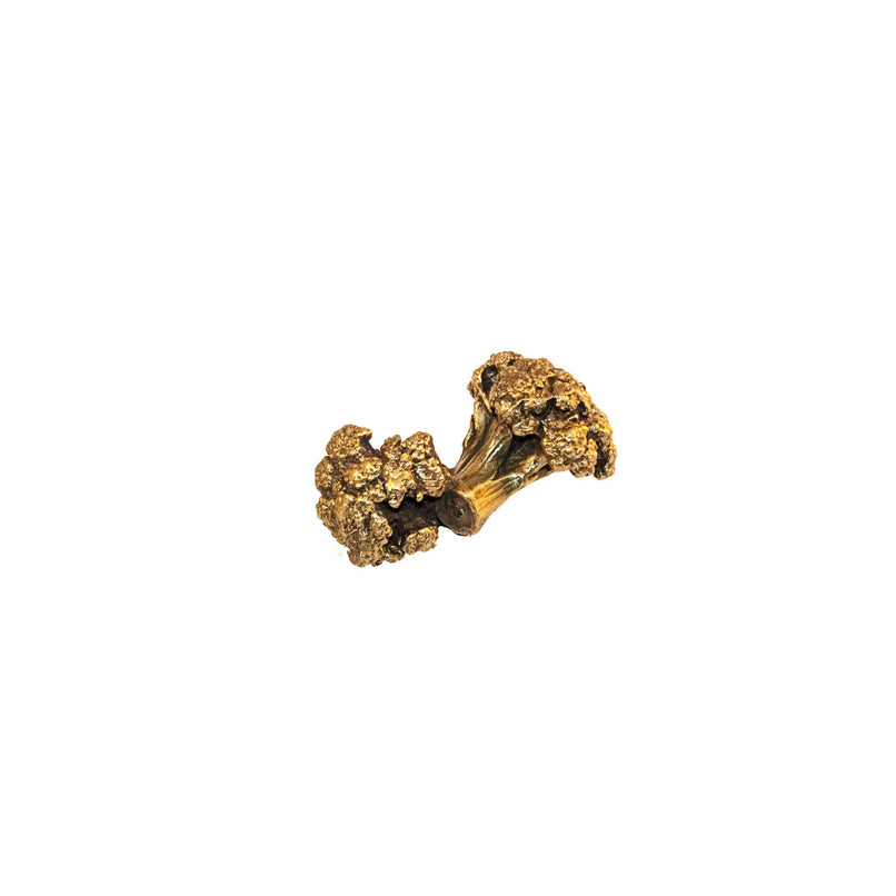 An image of a brass broccoli-shaped knob against a neutral background. The knob features a detailed design resembling a broccoli, adding a touch of unique charm to furniture or drawers.