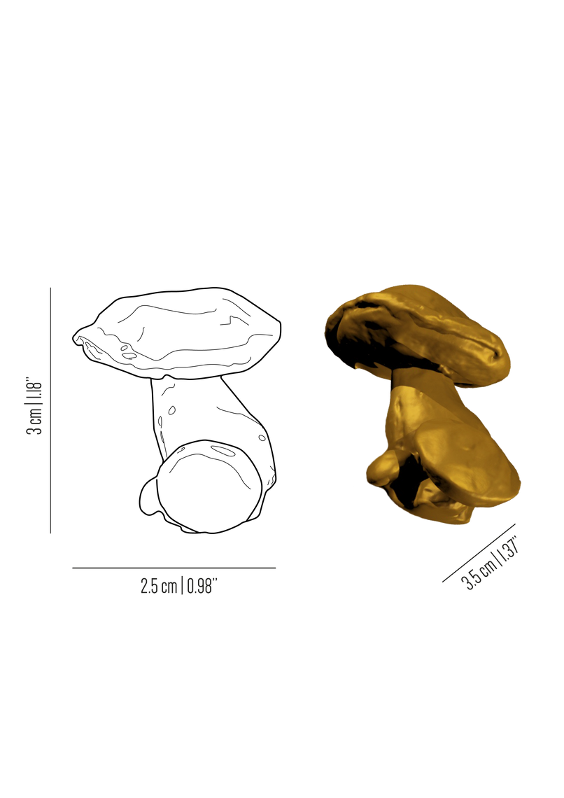 Chalet brass mushroom knob