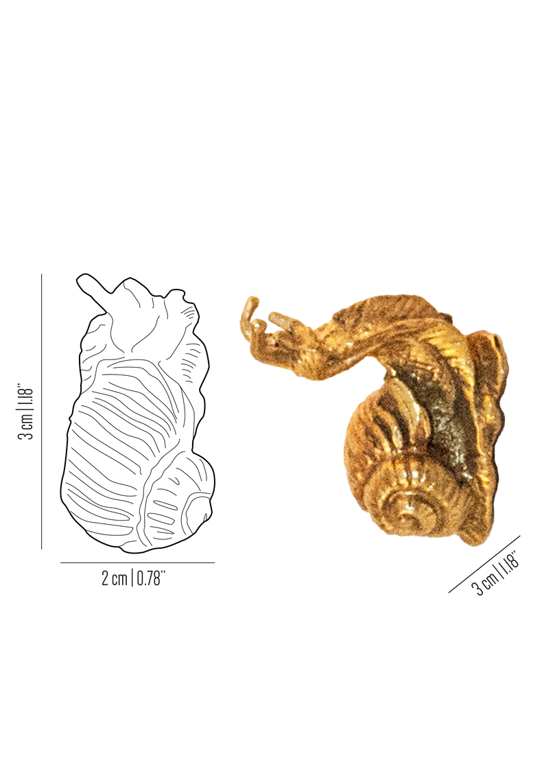 Fauna medium brass snail knob
