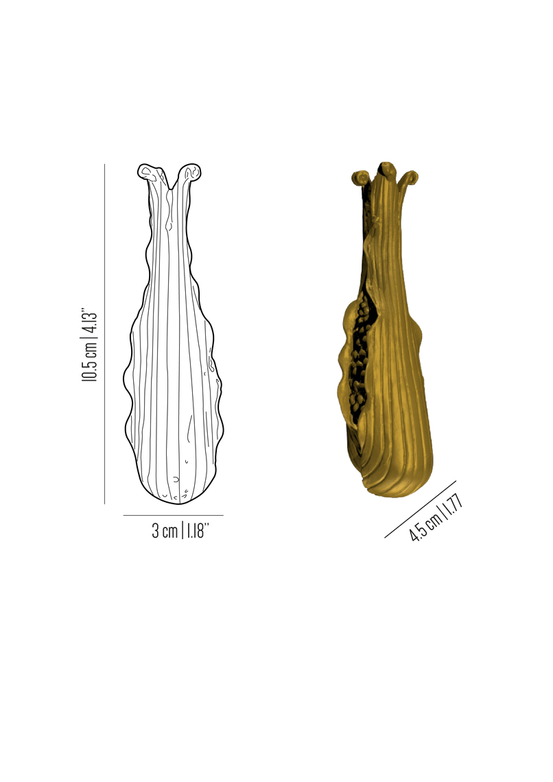 Orto brass corn cob knob