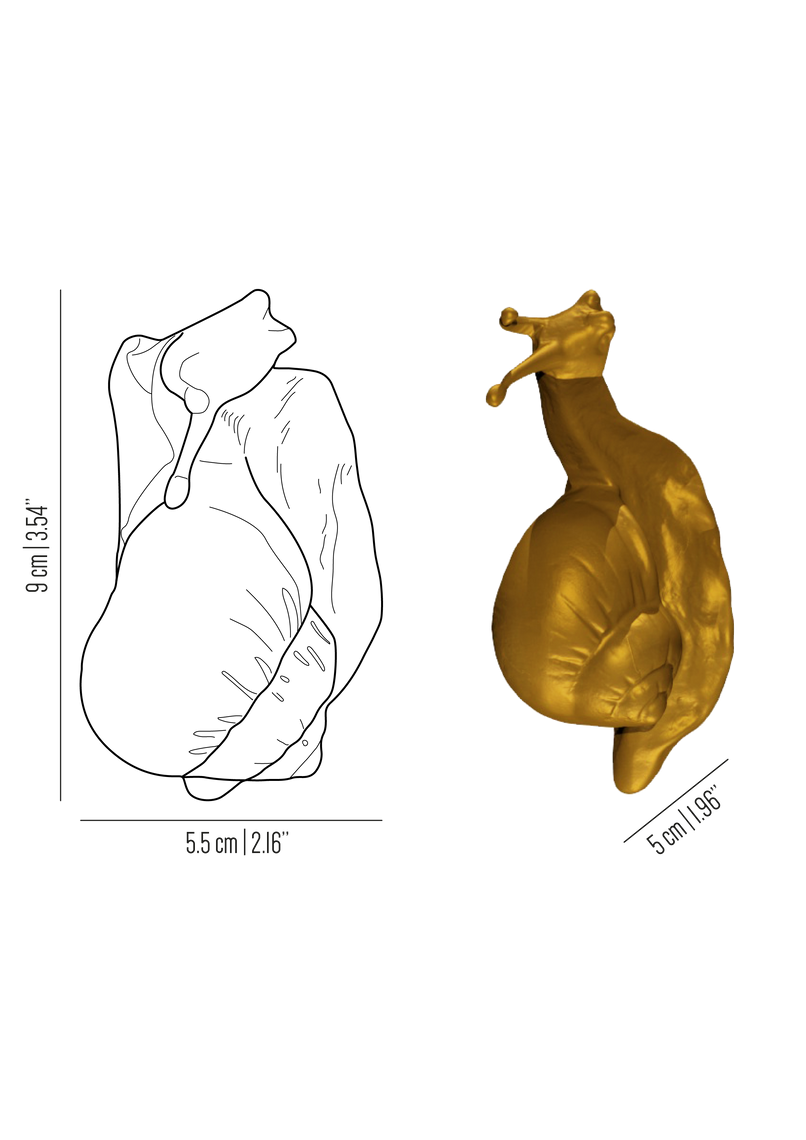 Fauna large brass snail knob