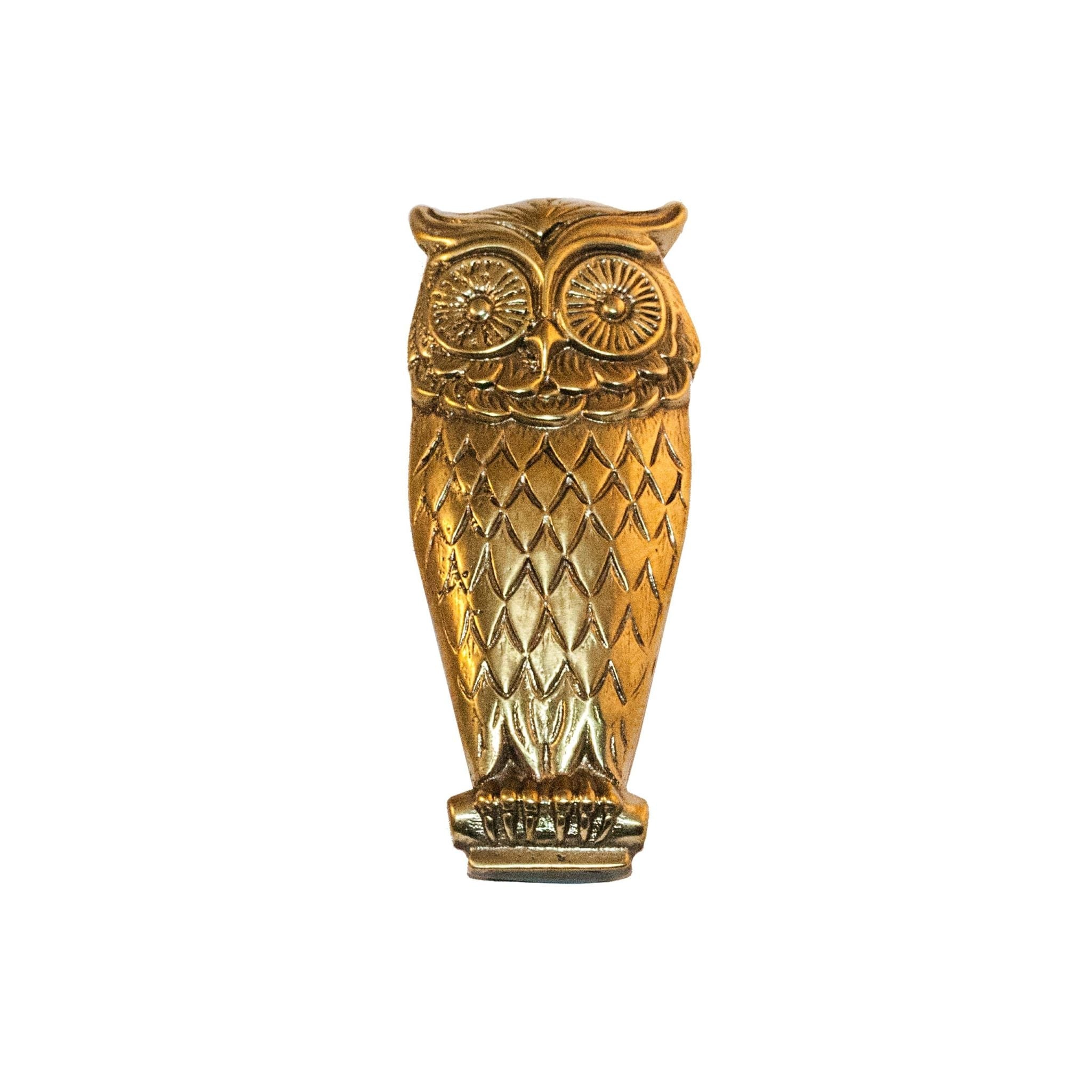 Chalet brass large detailed owl knob - ilbronzetto