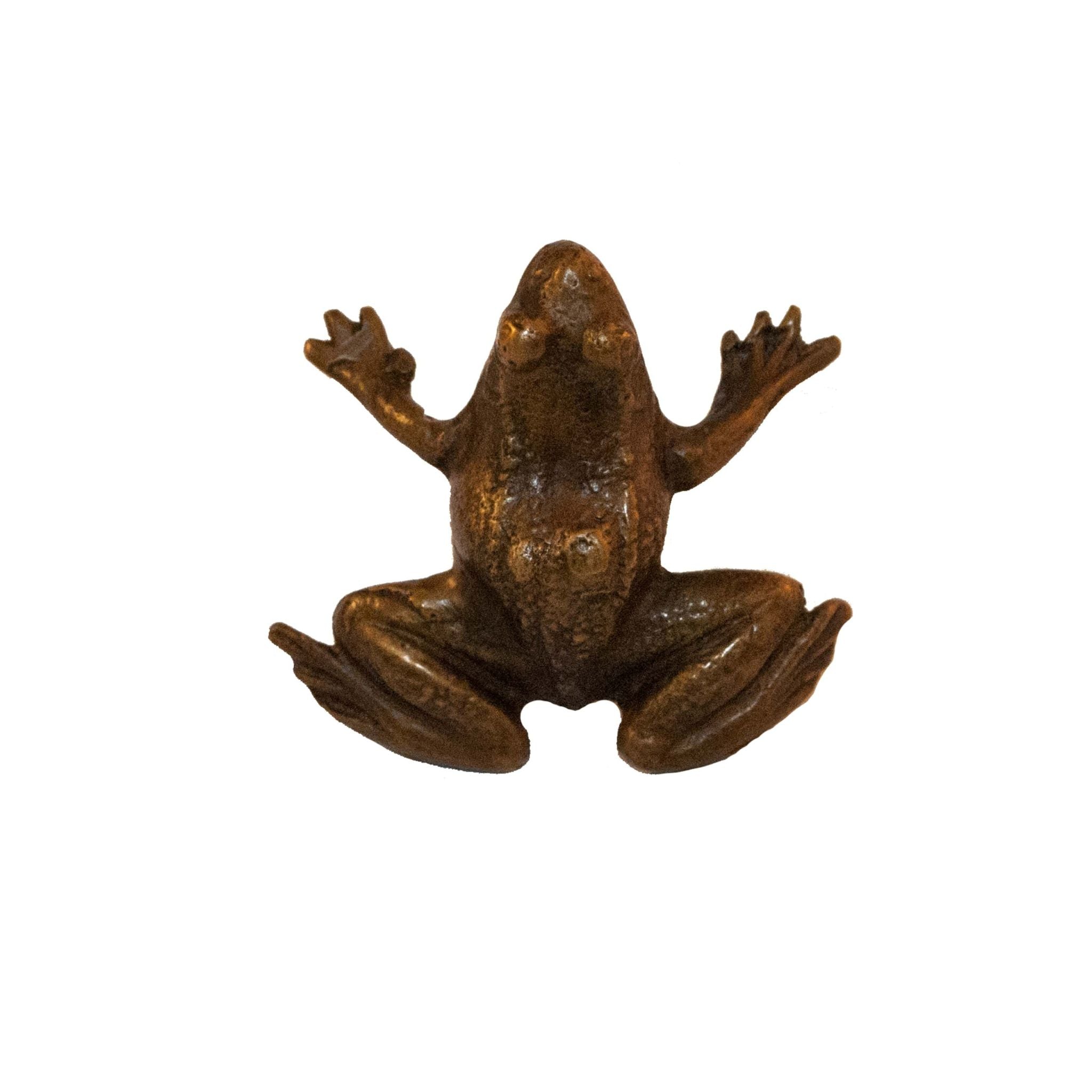 Fauna brass small toad knob - ilbronzetto