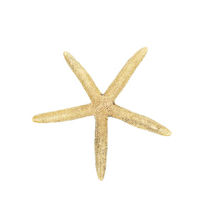 Ocean brass elongated starfish knob - ilbronzetto