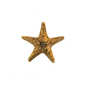 Ocean brass little starfish five-pointed knob - ilbronzetto