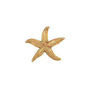 Ocean brass pointy starfish - ilbronzetto