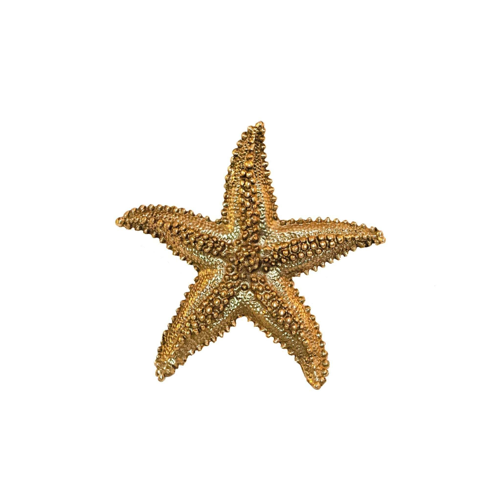 Ocean brass starfish knob with dots - ilbronzetto