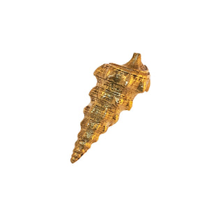 Oceano brass aclis sea shell knob - ilbronzetto