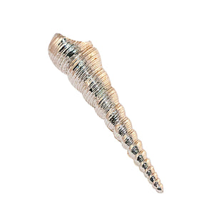 Oceano brass conus sea shell knob - ilbronzetto