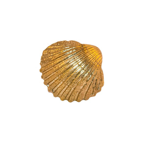 Oceano brass perla sea shell knob - ilbronzetto