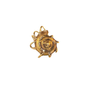 Oceano brass sea shell knob - ilbronzetto