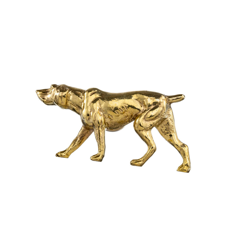 Argentine Dogo brass knob