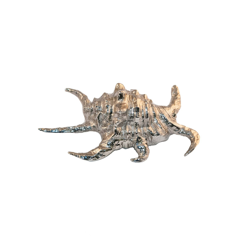 Oceano brass elaborated sea shell knob