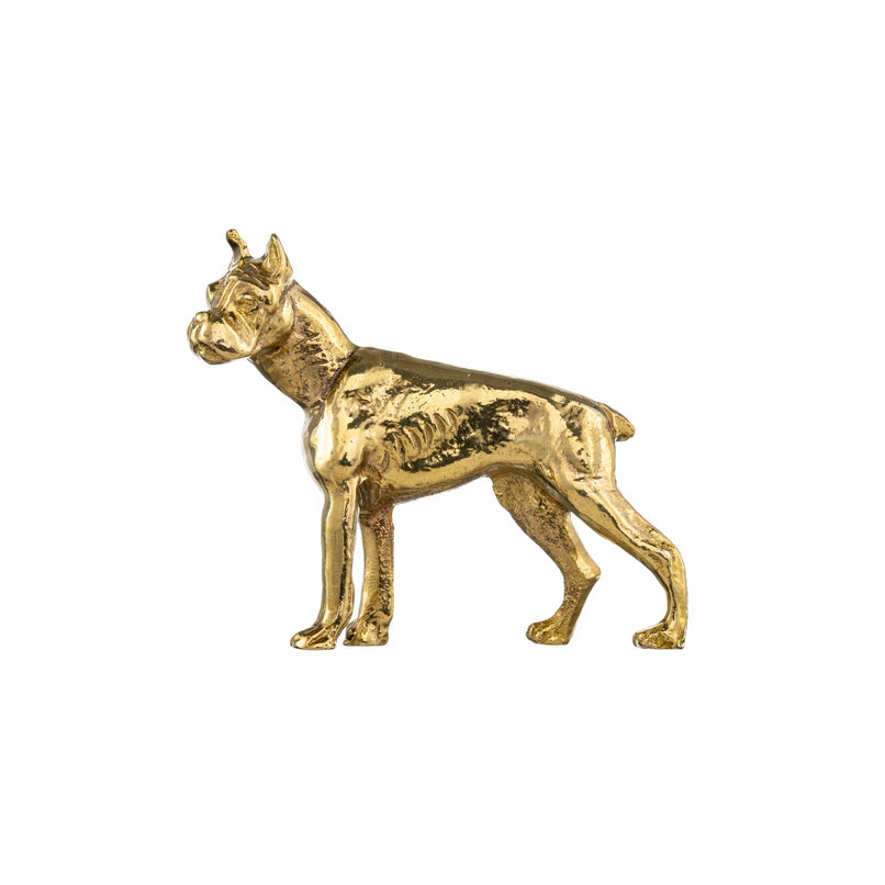 Pitbull brass knob