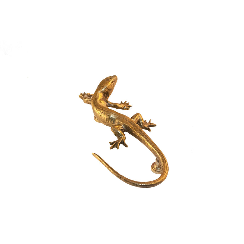 A brass knob in the shape of a lizard.