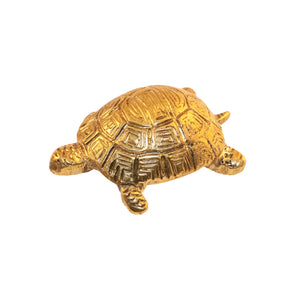 Immagine di una piccola tartaruga in ottone pomello su uno sfondo neutro. pomello  è stato progettato con cura e attenzione ai dettagli, mettendo in evidenza il guscio e le caratteristiche della tartaruga. Perfetto per aggiungere un tocco di fascino e personalità ad armadi o cassetti.