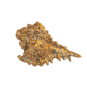 Immagine di Amalfi Brass Shell-Shaped pomello. Questo pomello decorativo è realizzato in ottone massiccio e presenta un intricato disegno a forma di conchiglia che ricorda il mare. La finitura in ottone lucido aggiunge eleganza. Adatto per armadi, cassetti e porte, conferisce un fascino costiero a qualsiasi mobile.