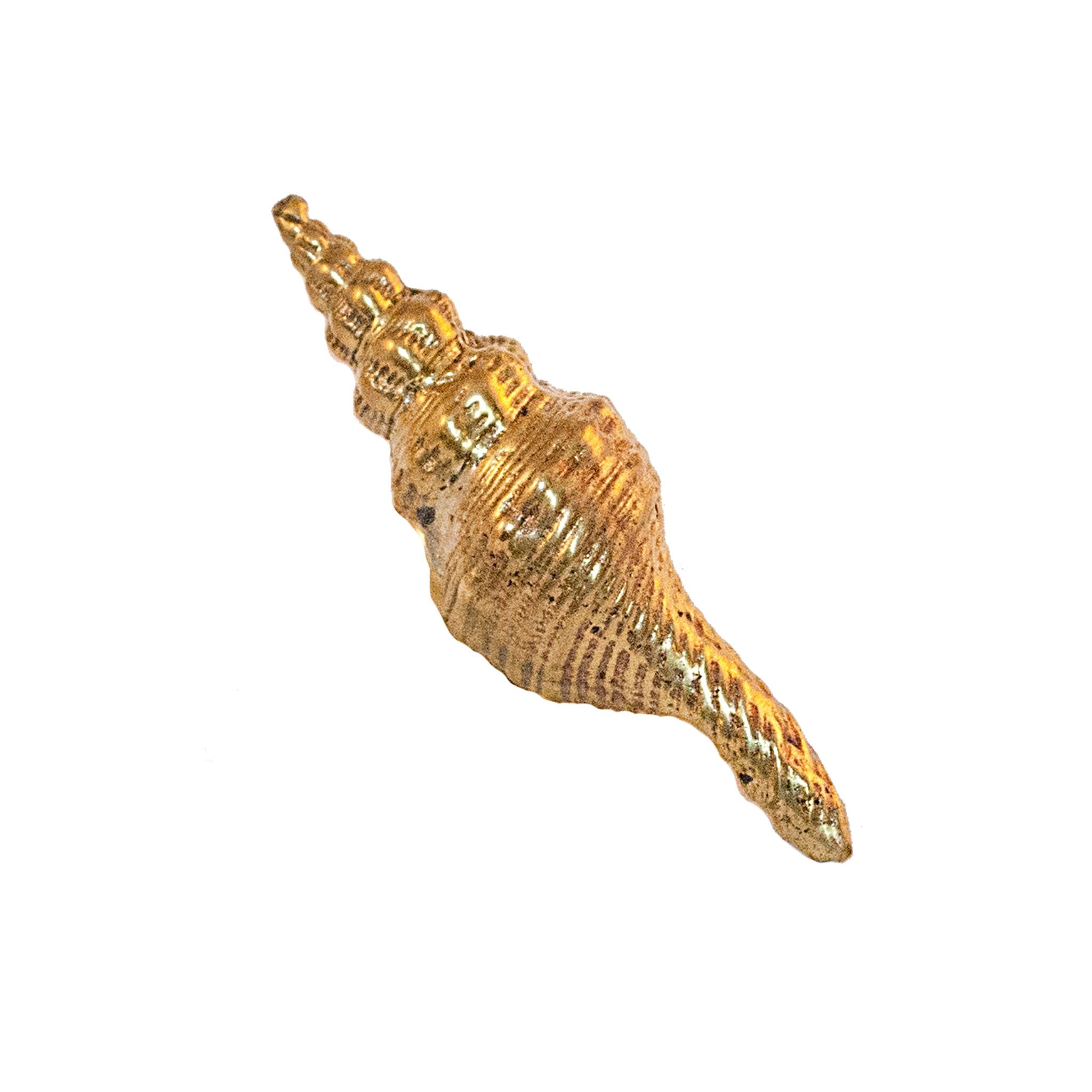 Immagine del Catania Brass Shell-Shaped pomello. Questo pomello decorativo è realizzato in ottone massiccio e presenta un disegno intricato che imita una conchiglia. La finitura in ottone lucido gli conferisce un aspetto classico ed elegante. Ideale per l'uso su armadi, cassetti e porte, pomello aggiunge un tocco di fascino costiero e di raffinatezza a qualsiasi mobile.